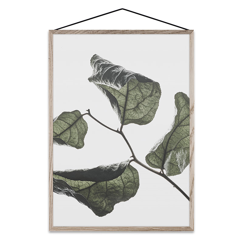 Floating Leaves 03 - A3 FSC Print, 42 x 30cm-0