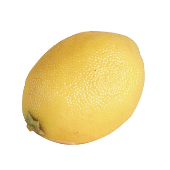 Faux Lemon, 80cm, Set of 12-0