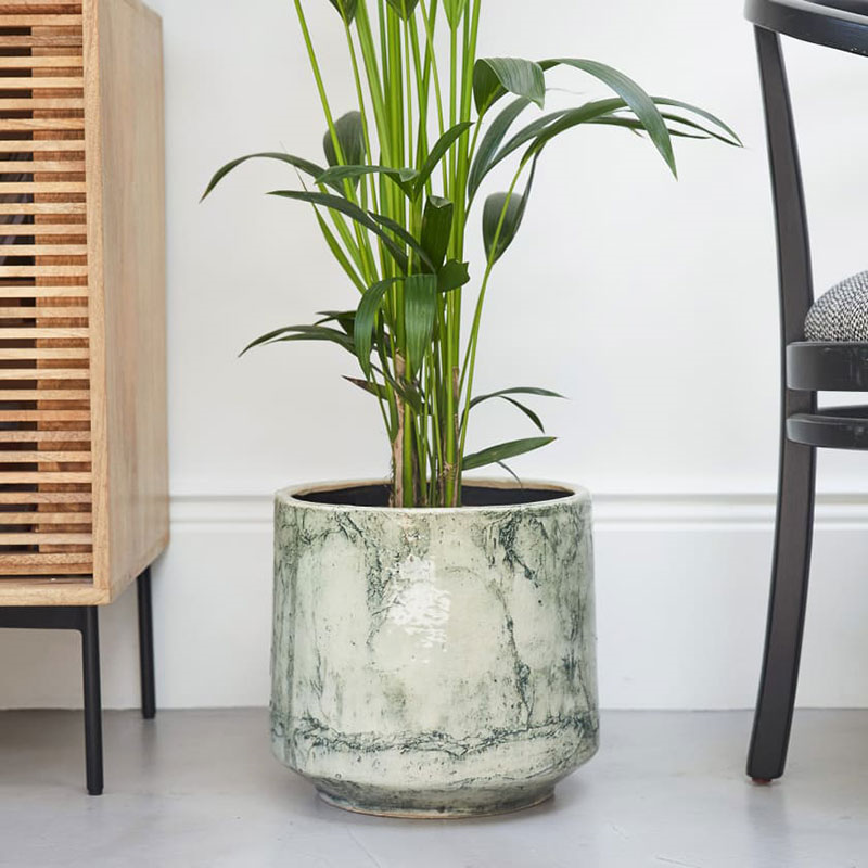 Big Ken the kentia palm with green fractured pot, 29 x 170cm-1