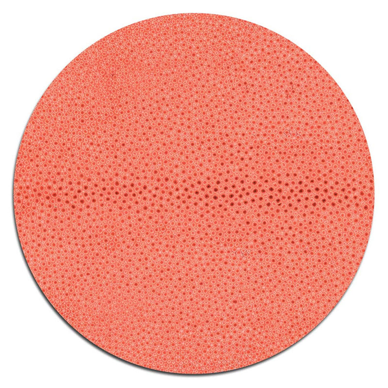 Shagreen Set of 4 Table Mats, D25.5cm, Coral-3