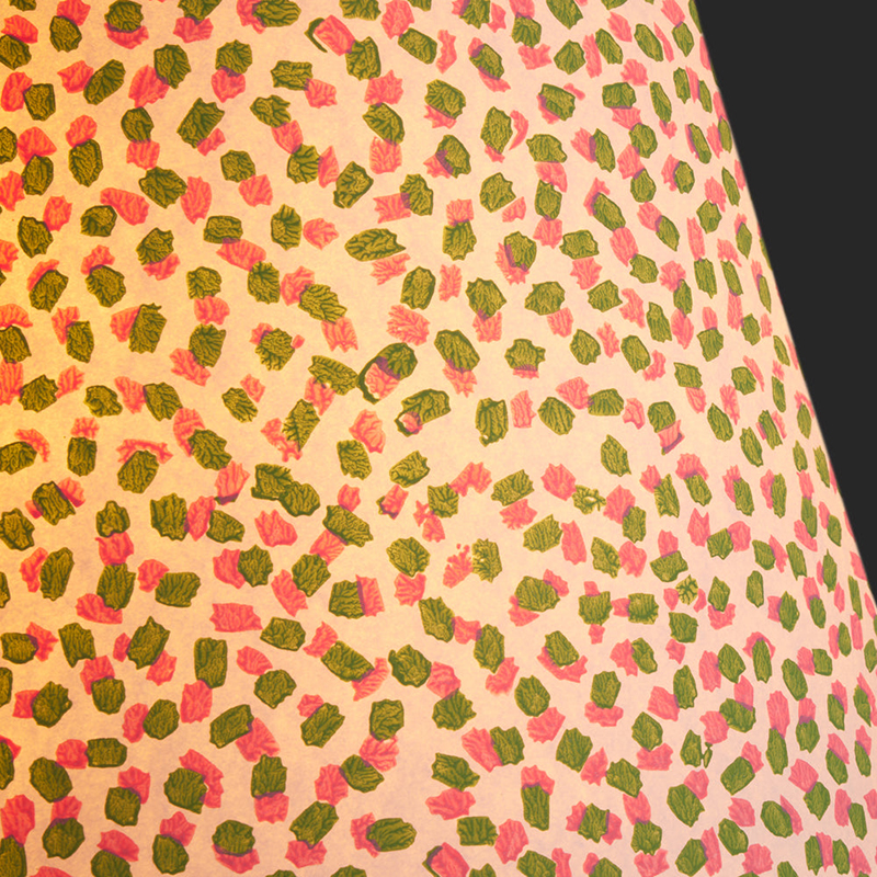 Empire Straight Shade Polka Dot Paper By GP & J Baker, 30cm, Pink/Green-5