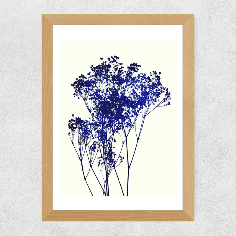 Garima Dhawan Baby's Breath A2 Framed Art Print, Blue/Cream-0