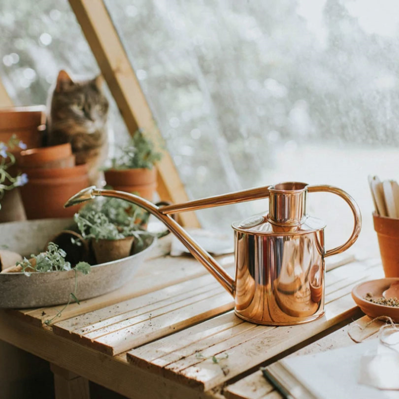 The Rowley Ripple & Smethwick Spritzer Watering Can & Sprayer Gift Set, 1L, Copper/Brass-3