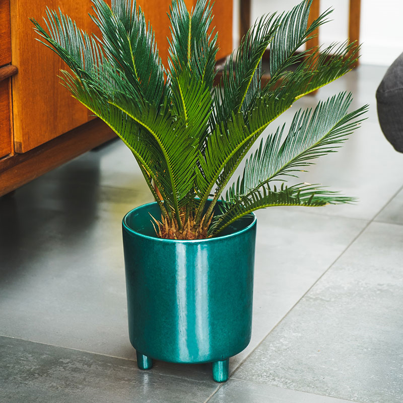 Pisa Planter, H20 x W24 x D24cm, Emerald-2