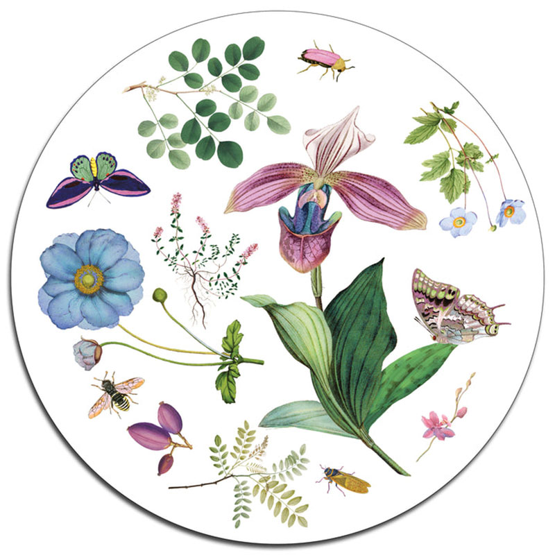 Country Garden Set of 4 Table Mats, D25.5cm, Multi-3