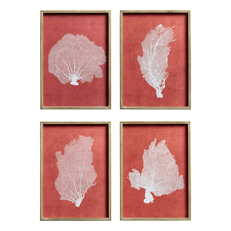 Skeleton Coral Set of 4 Prints, Red / White-0