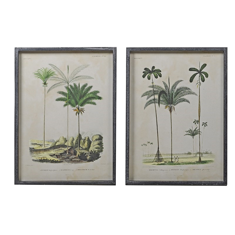 Pair of palm tree pictures, H56 x W41cm-0