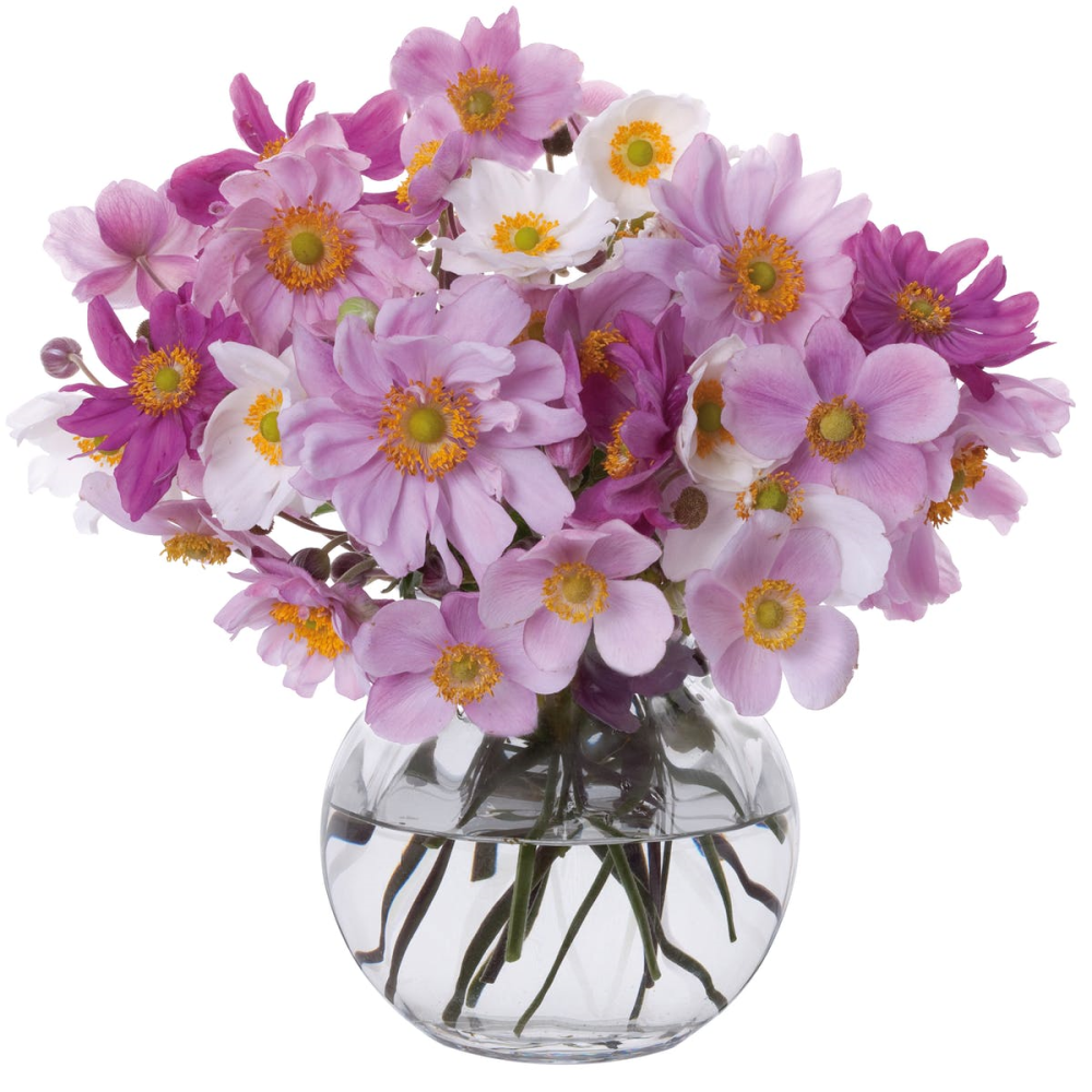 Florabundance Anemone vase, H12.5cm, Clear-0