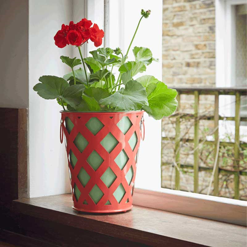 Trellis Planter, H21cm, Coral Red-0