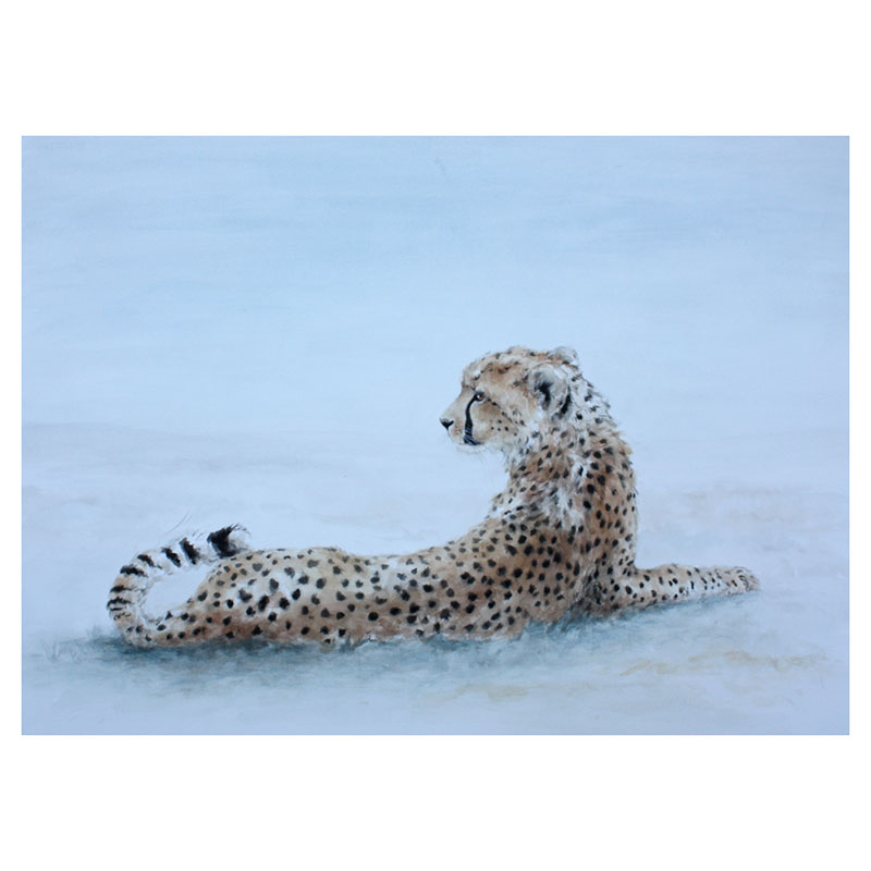 Cheetah Dusk Mounted Print-0