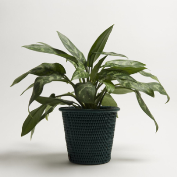 Planter, Kanbalu, Dark Green, 14cm-0