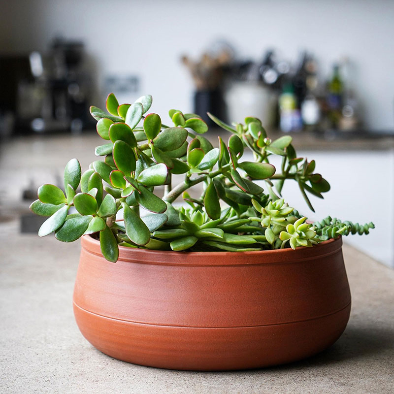 Kew Temperate House Handthrown Statement Bowl, D38cm, Burnt Umber-0