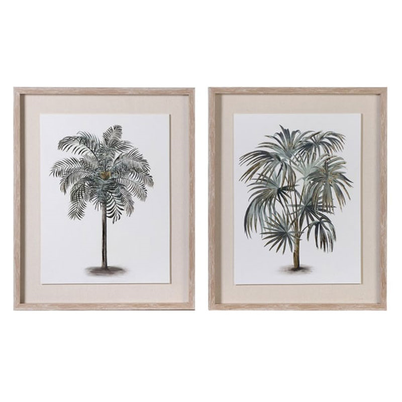 Palm Set of 2 Framed Prints, 52 x 42cm, Green-0