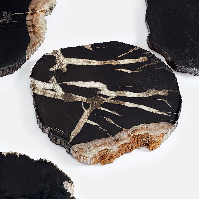 Balfern Set of 4 Petrified Wood Coasters, D12cm, Black-1