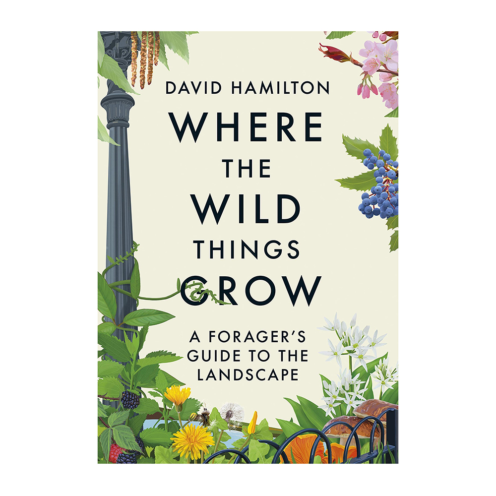 Where the Wild Things Grow: A Forager's Guide to the Landscape-0