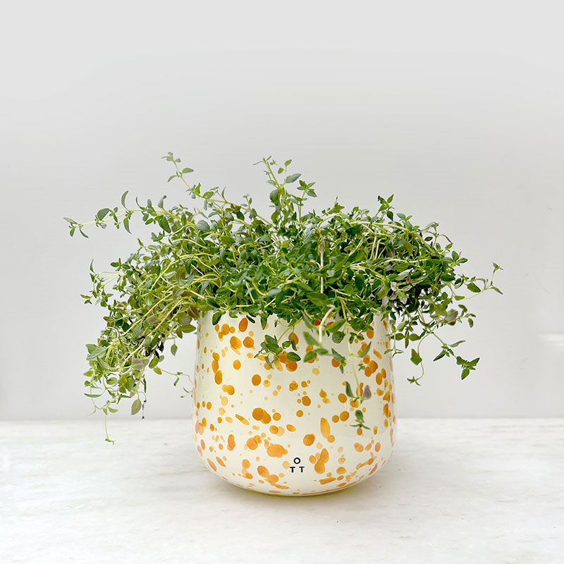 Splatter Indoor Planter, D15 x H13cm, Burnt Orange-0