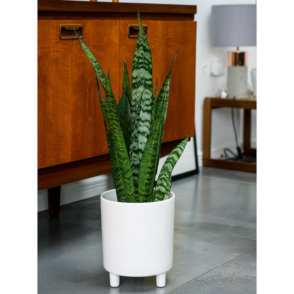 Pisa Planter, H20 x W24 x D24cm, White-4