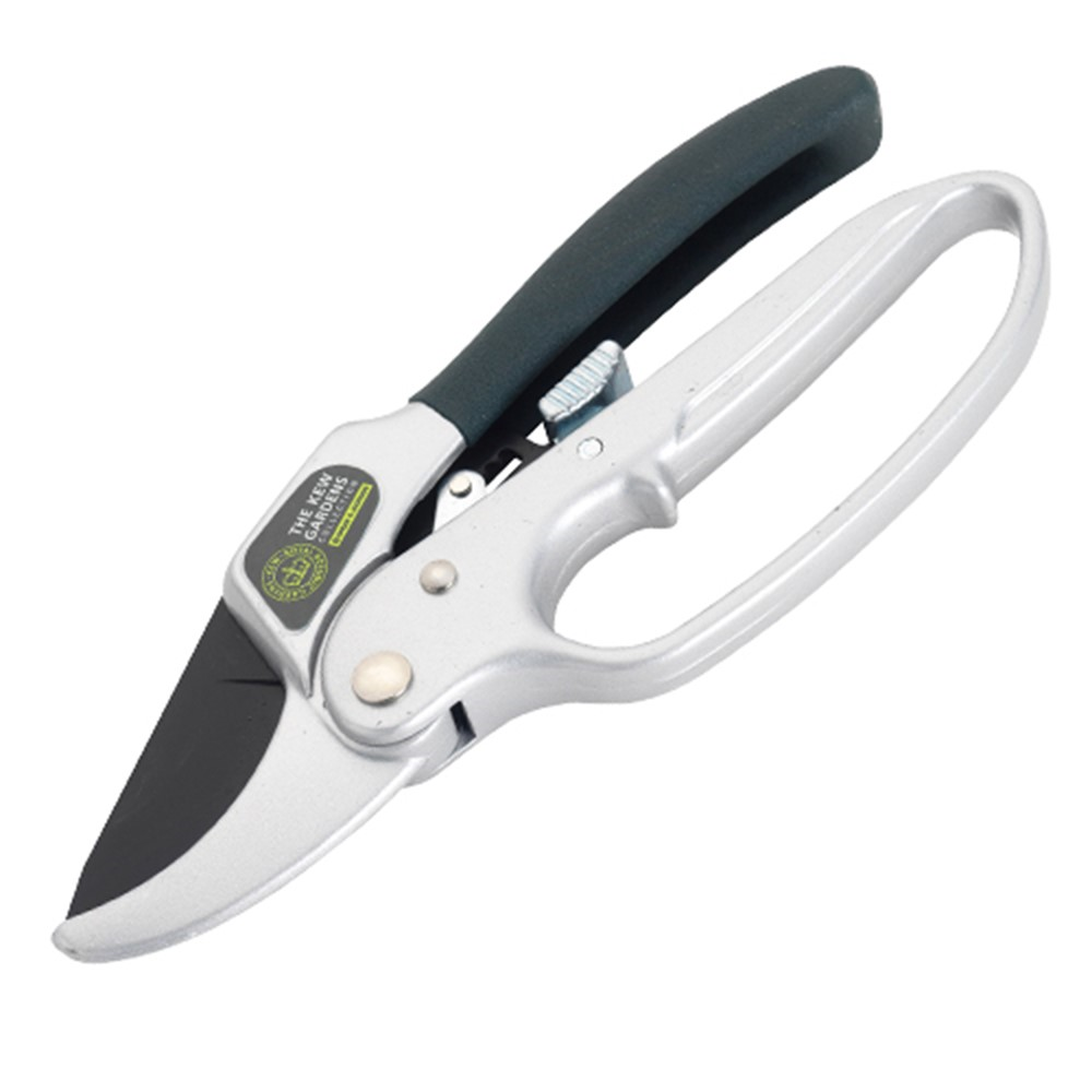 Ratchet anvil secateurs, H21 x W8.5cm, Black/Silver-0