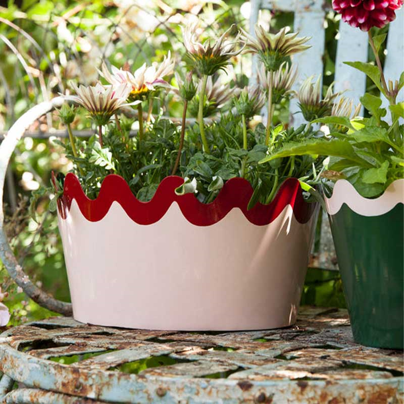 Scallop Tole Oval Large Planter, H15cm, Pink-0