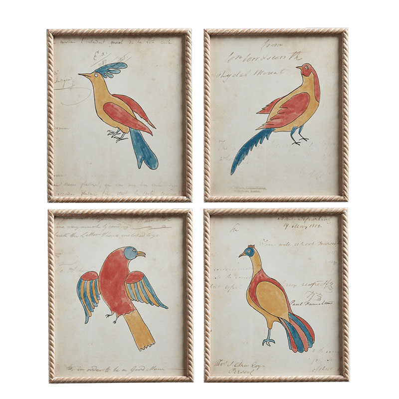 Carara Bird Set of 4 Framed Prints, H60cm x W50cm x D3cm, Multi-0