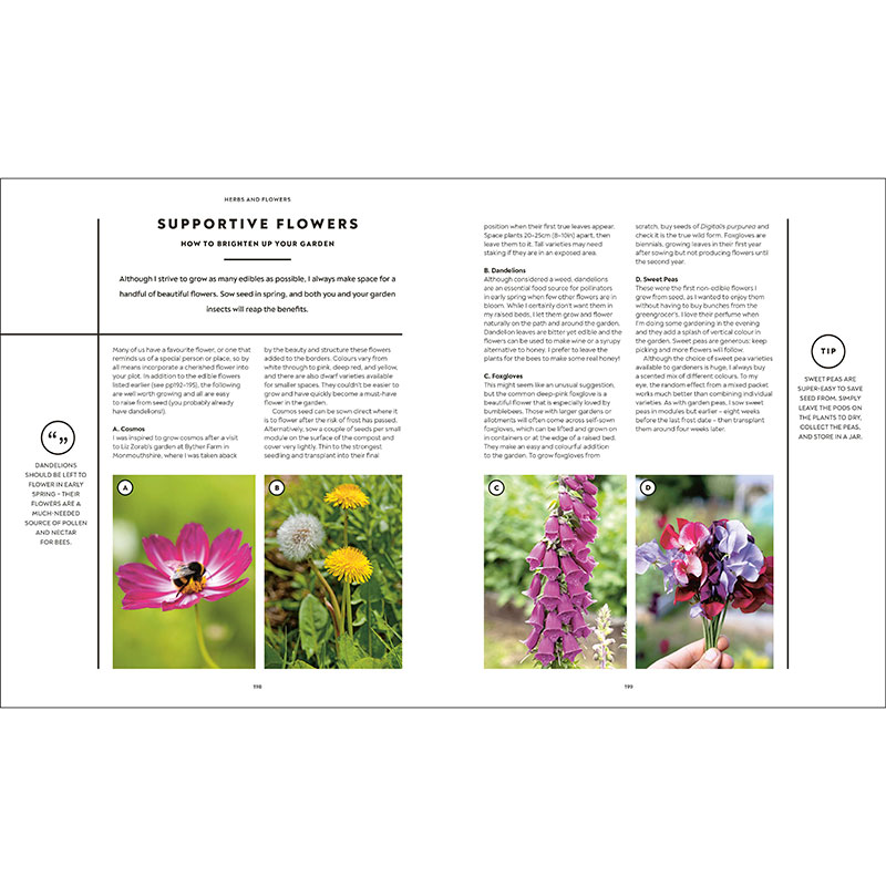 Huw Richards Vegetable Growers Handbook-4