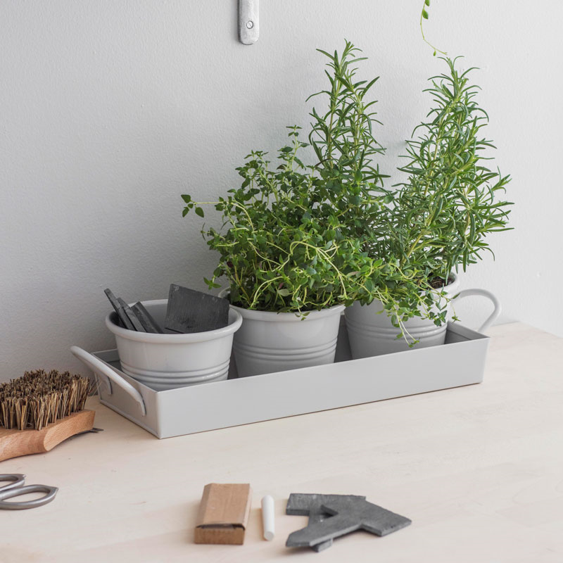 Classic Set of 3 Plant Pots with Tray, Chalk-0