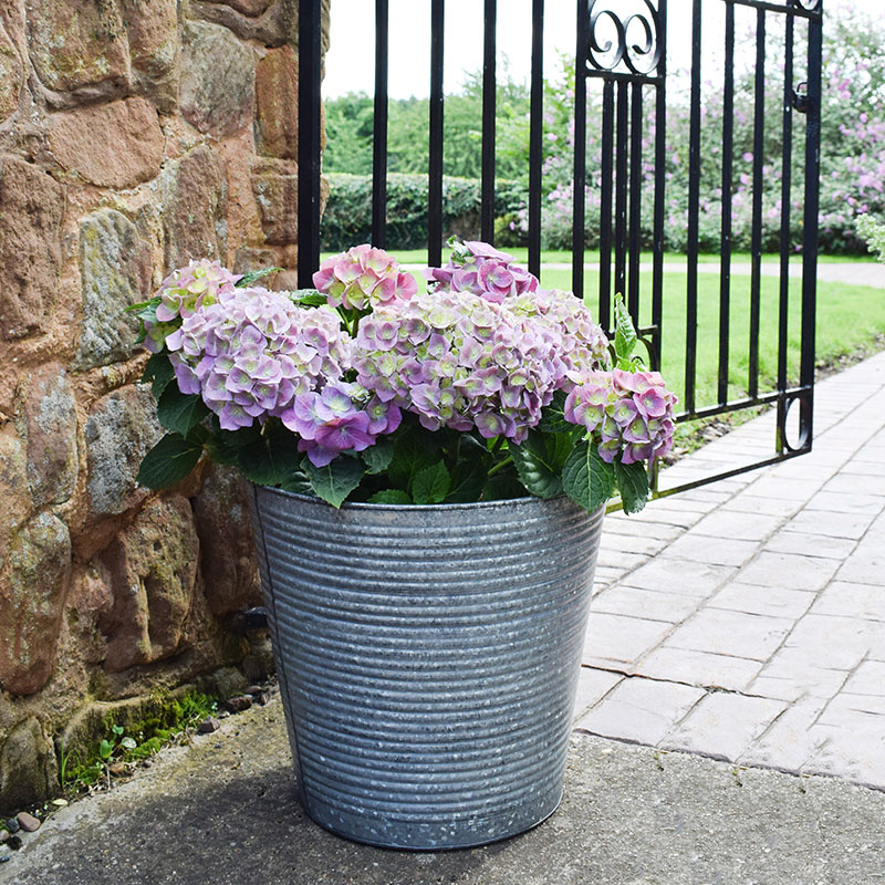 Galvanised Ribbed Planter, D37cm, Silver-1