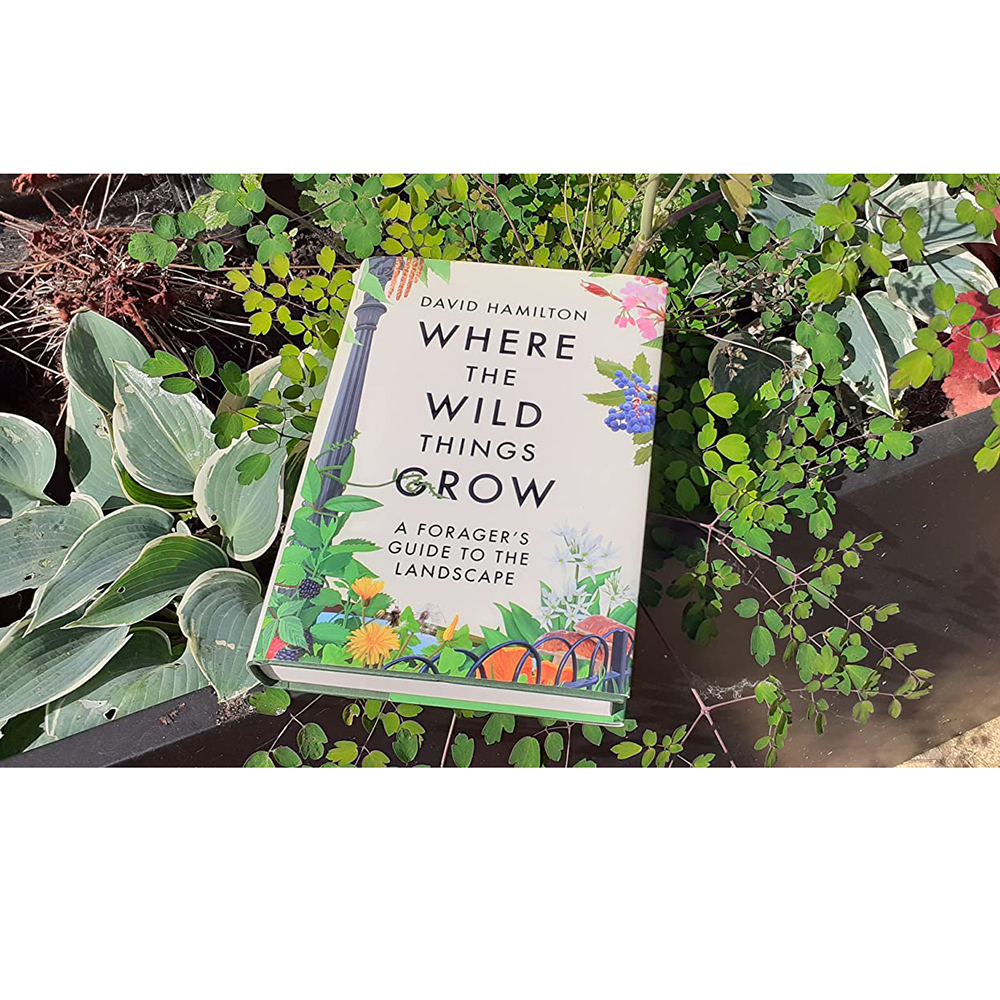 Where the Wild Things Grow: A Forager's Guide to the Landscape-1