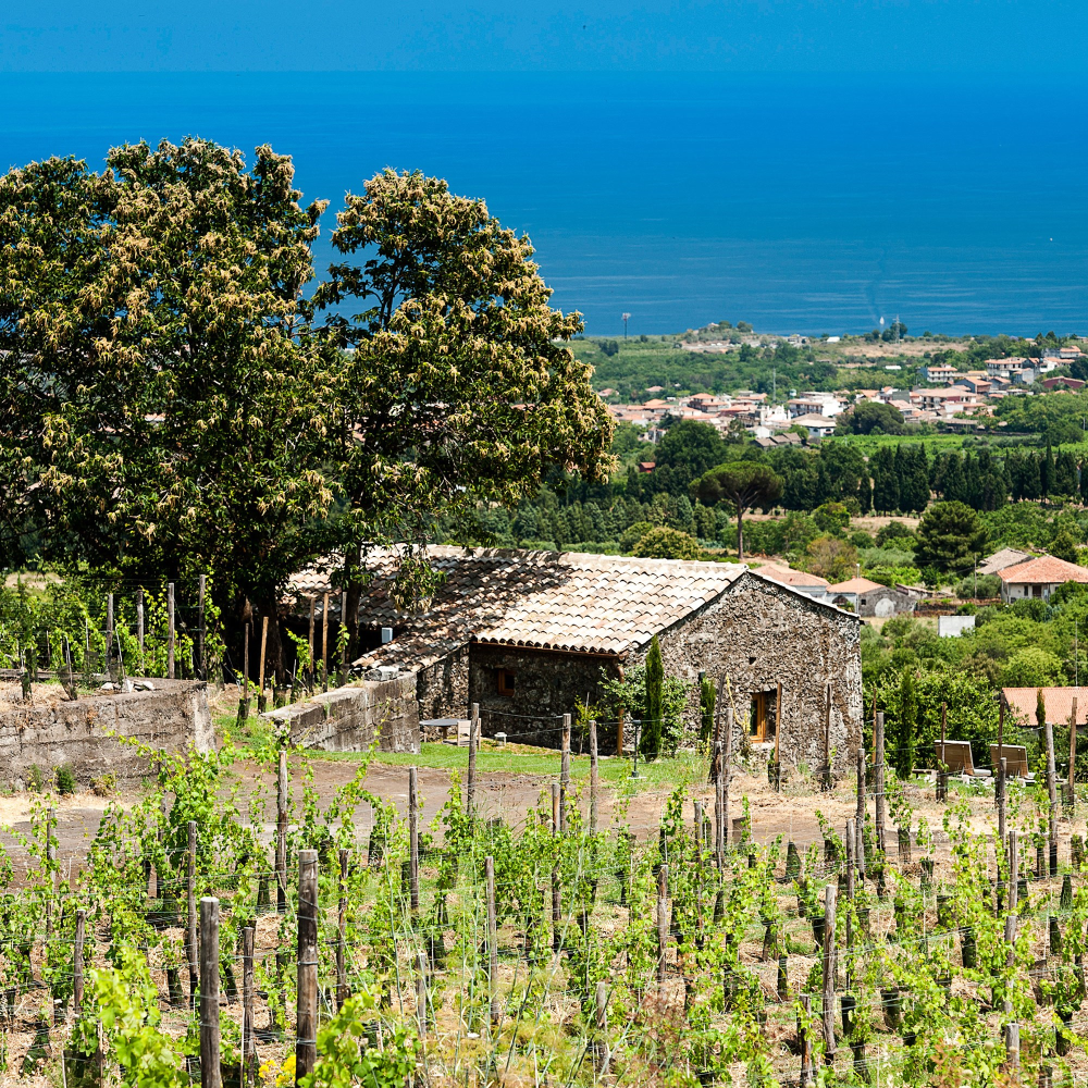 Gift Voucher towards one night at The Monaci delle Terre Nere for two, Sicily-0