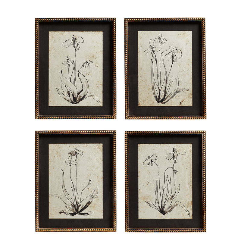 Narin Set of 4 Framed Prints, H50cm x W40cm x D3cm, Multi-0