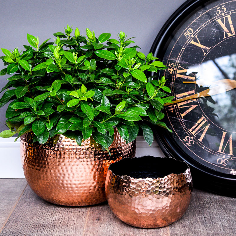 Hammered Bowl planter, H21 x W30 x D30cm, Copper-2