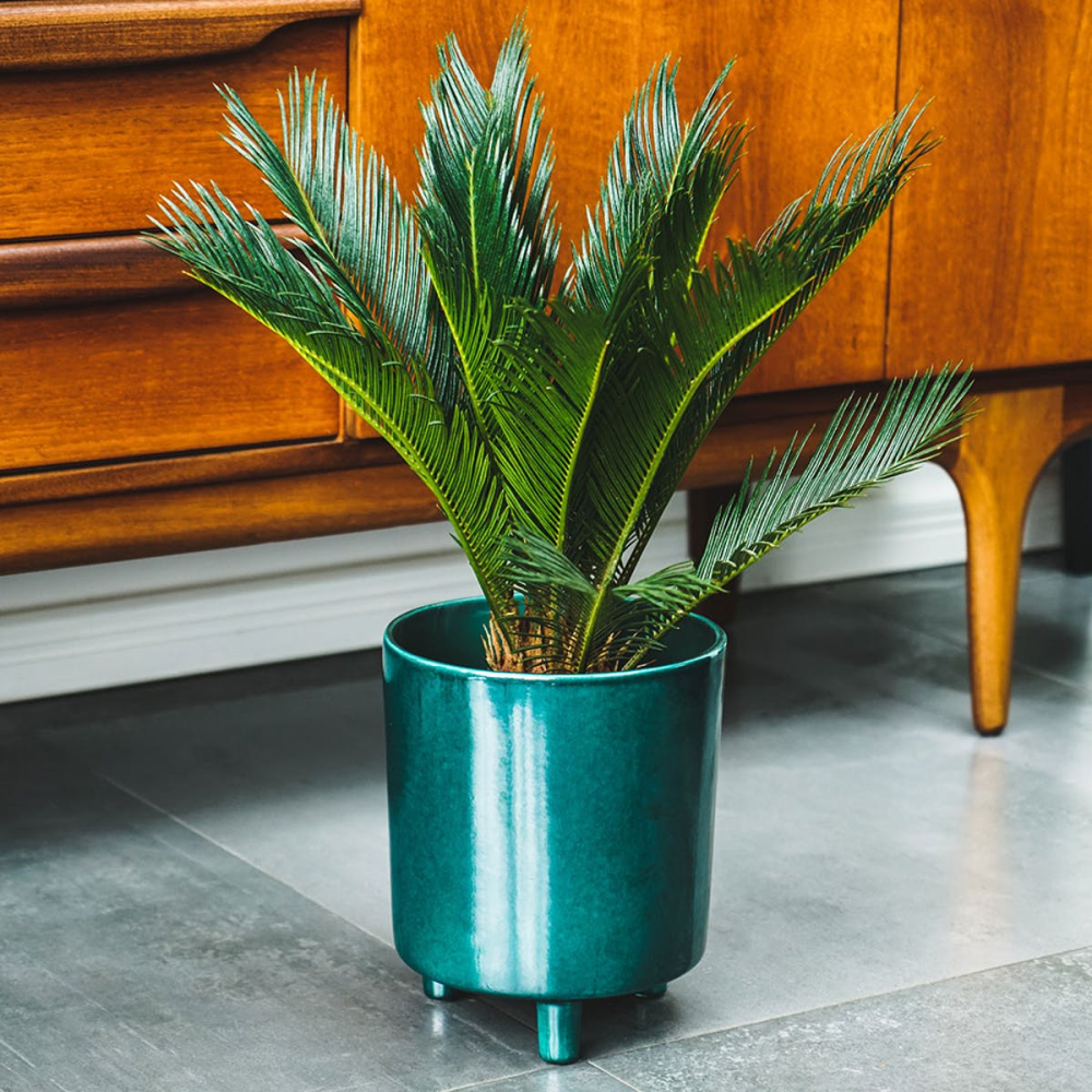 Pisa Planter, H20 x W24 x D24cm, Emerald-0