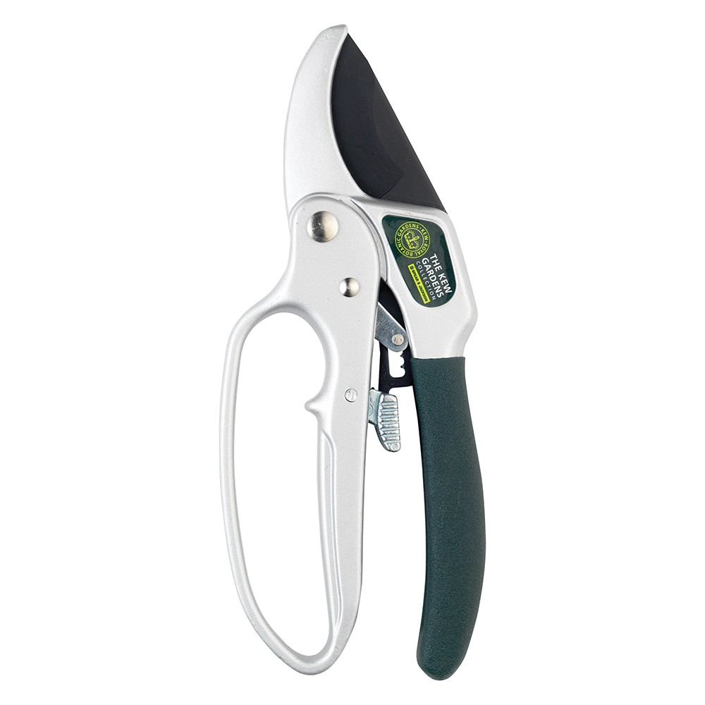 Ratchet anvil secateurs, H21 x W8.5cm, Black/Silver-1