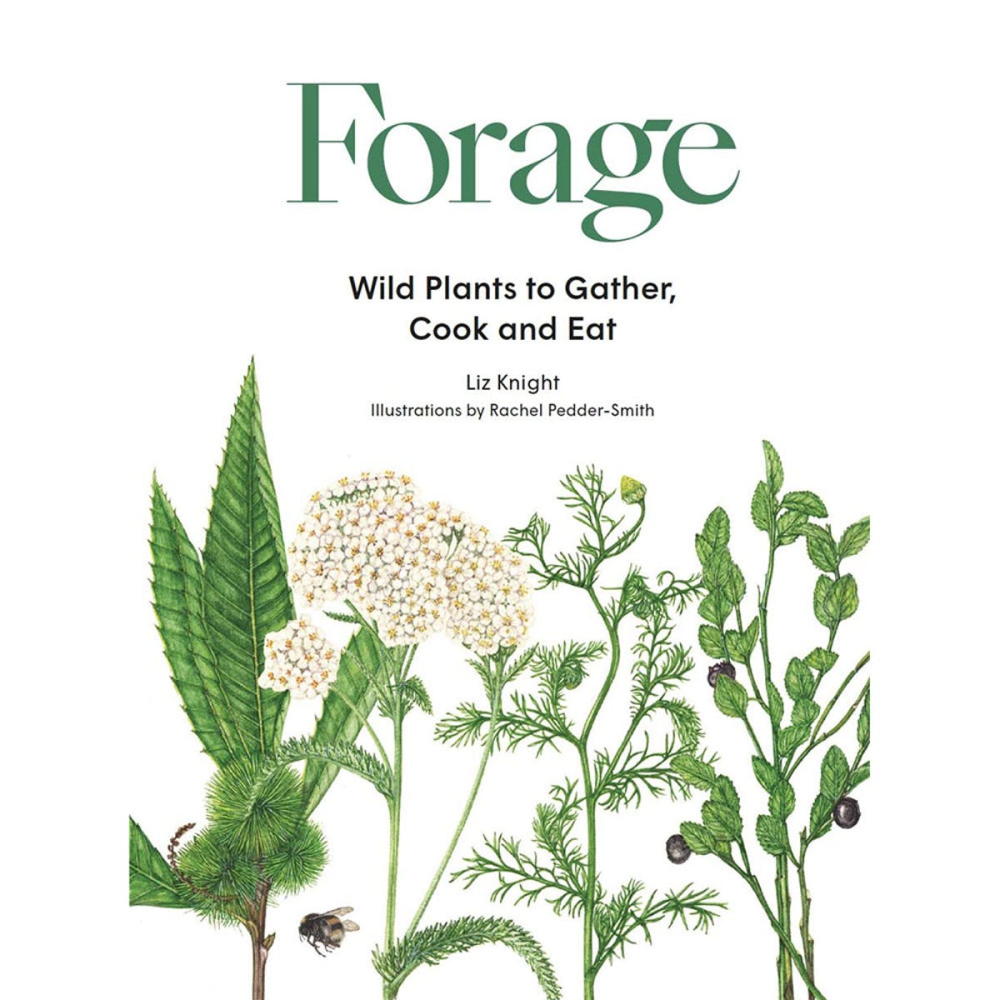 Forage: Wild Plants to Gather and Eat Liz Knight-0