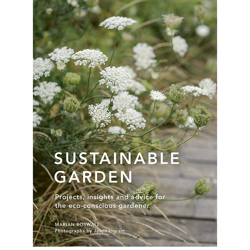 Marian Boswall Sustainable Garden-0