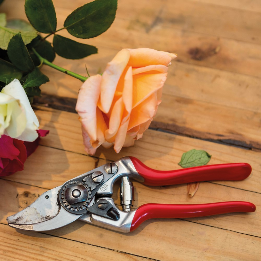 Model 14 Small Secateurs, 18.5cm, Red/Silver-2