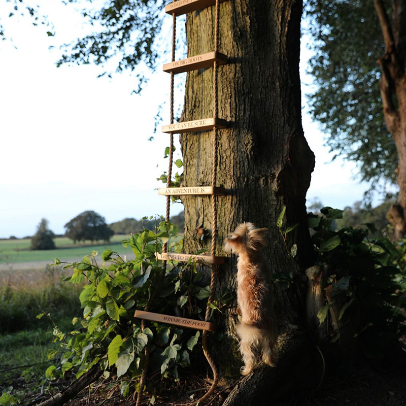 Personalised Rope Ladder, Oak-0