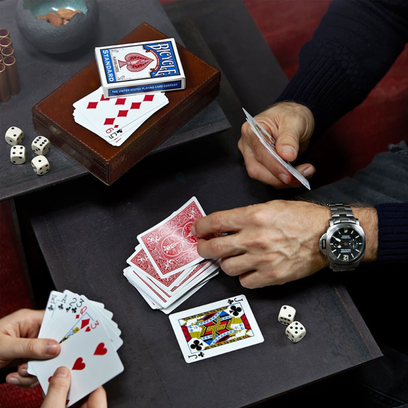 Leather Card and Dice Set-3