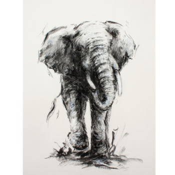 Elephany Harmony Mounted Print-0