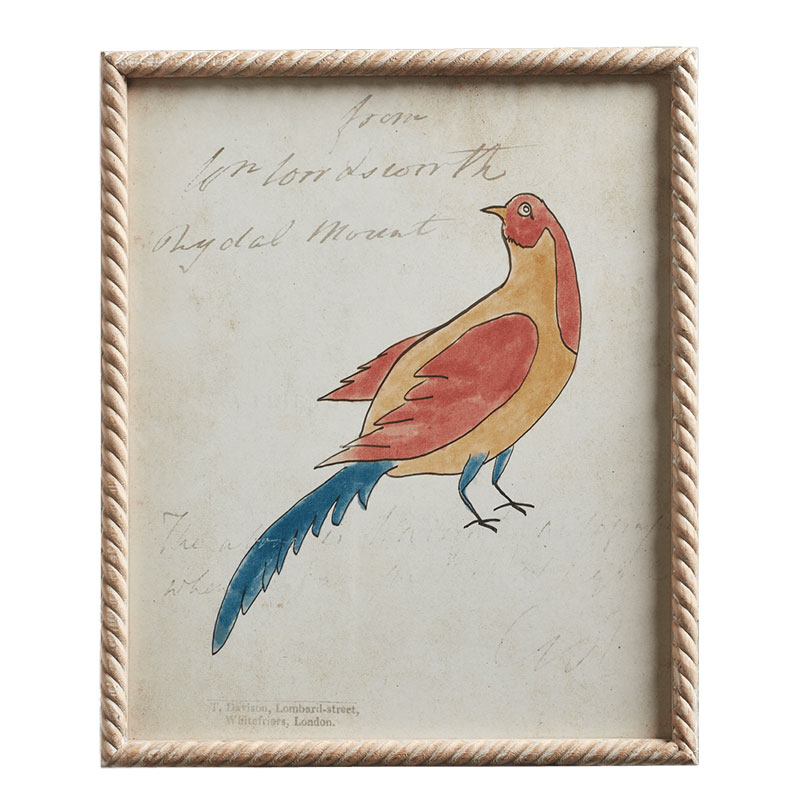 Carara Bird Set of 4 Framed Prints, H60cm x W50cm x D3cm, Multi-1