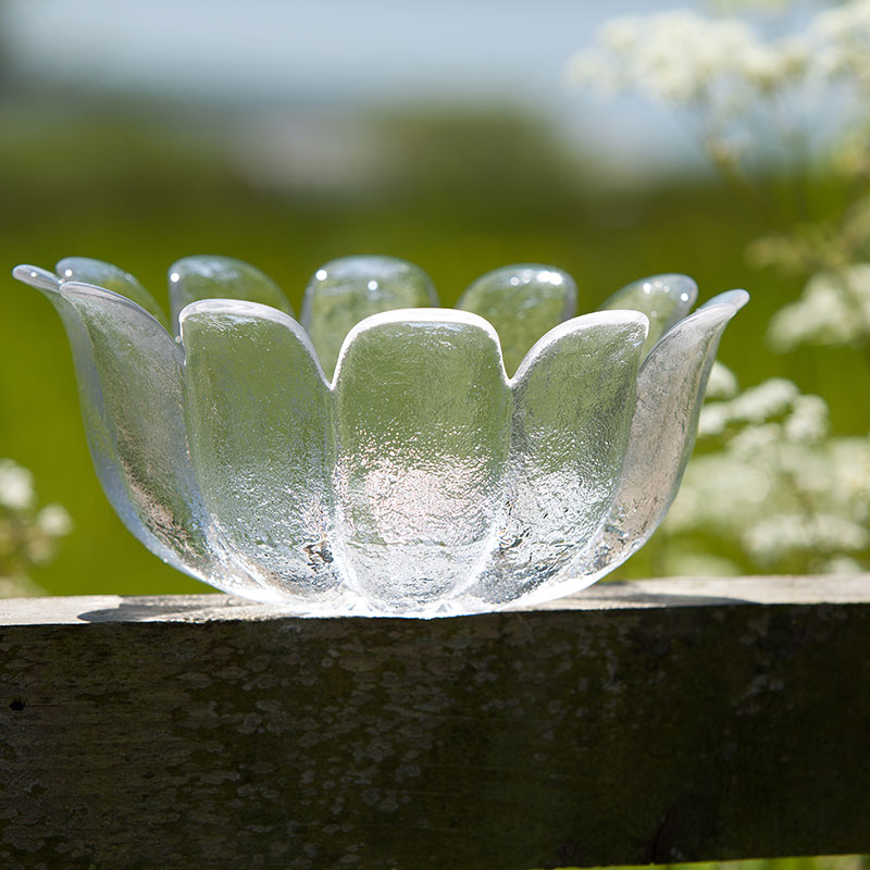 Daisy Bowl, D21.5cm, Clear-6