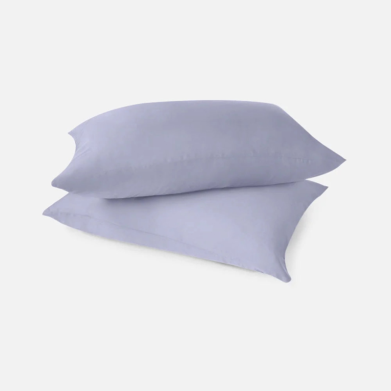 Eucalyptus Silk Pair of Standard Pillowcases, Light Blue-0