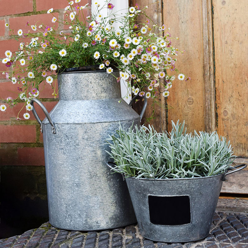 Galvanised Milk Churn, H43cm x D33cm, Silver-2