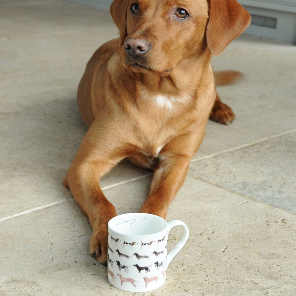 Woof Mug, 27.5cl-1