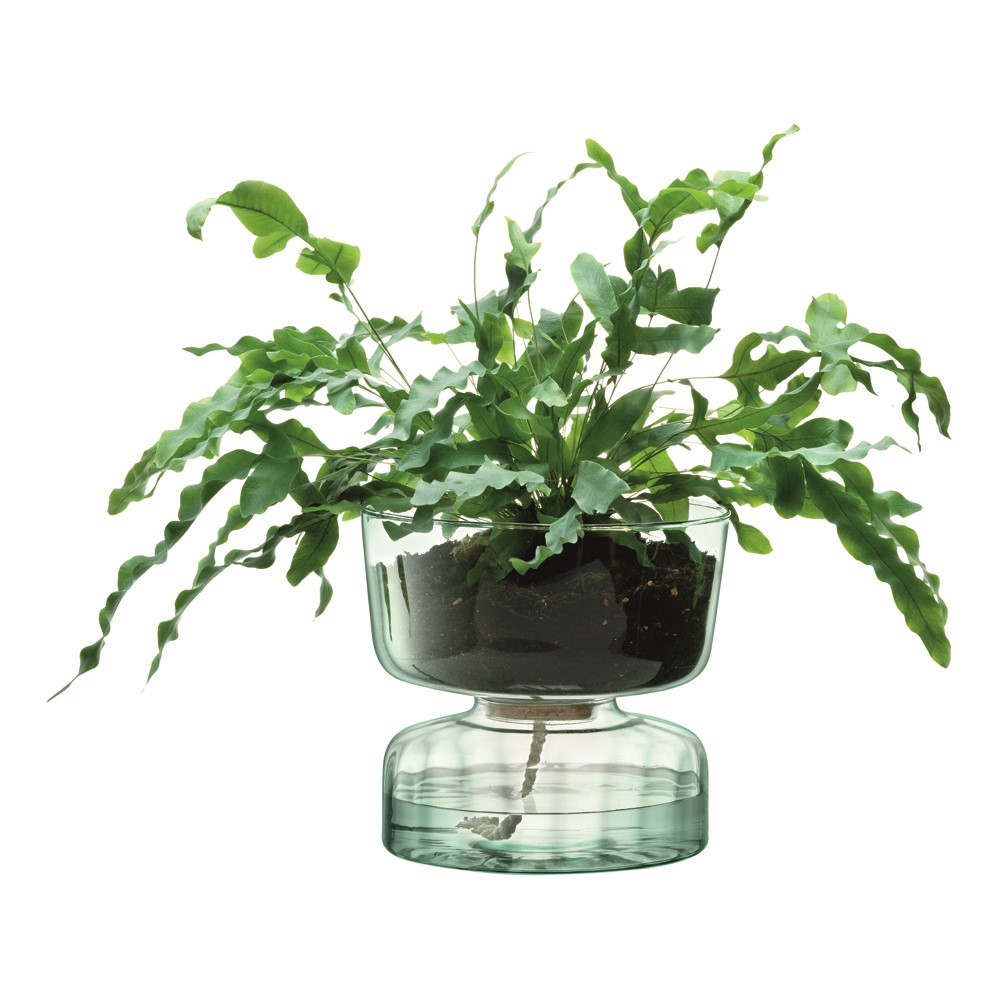 Canopy Self watering planter, H22cm, clear-0